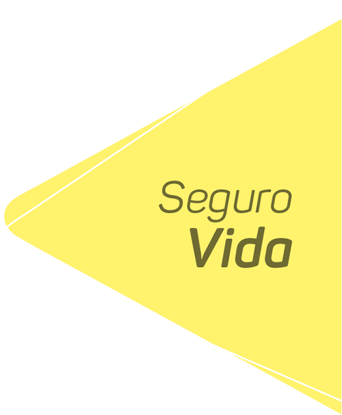Seguro de Vida